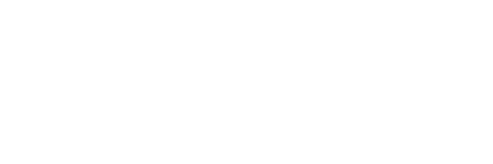 logo light